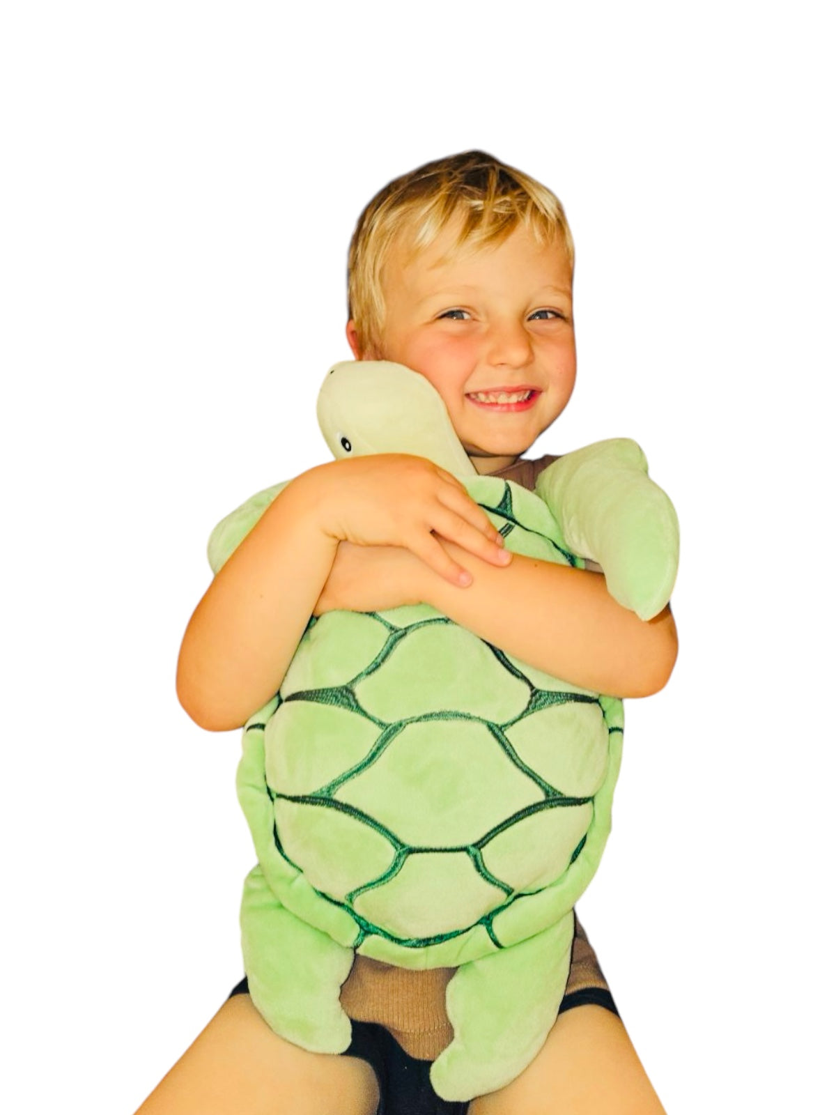 2.5kg Weighted Lap Plush - Turtle