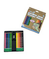 Micador JUMBO Colourush Triangle Pencils - 12 Pack