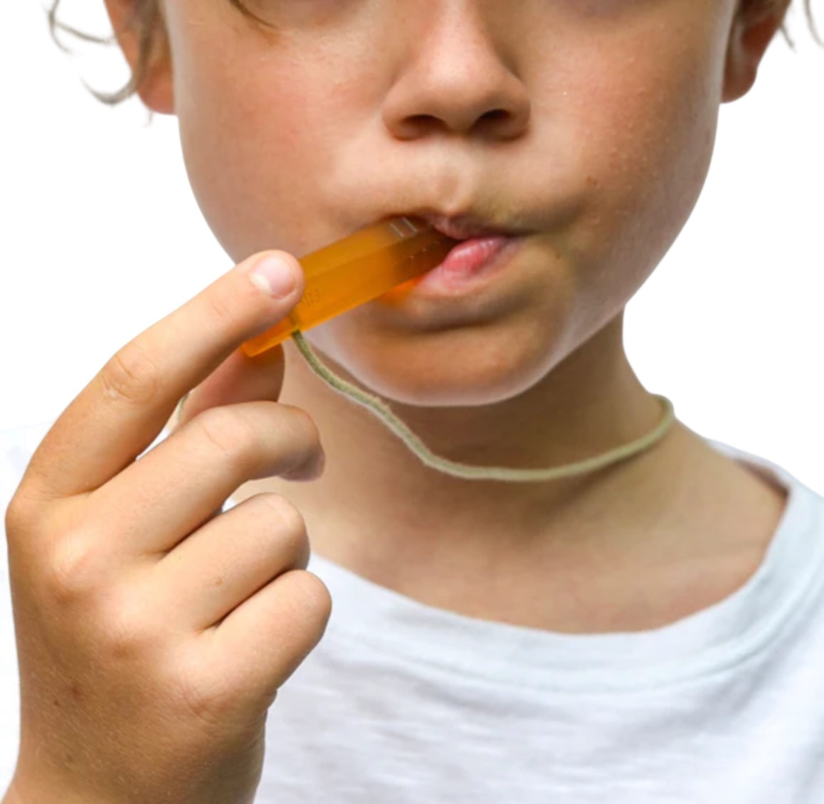 Santo Natural Rubber Chew 2pk