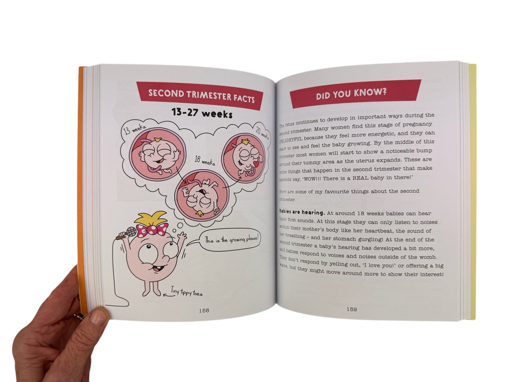 Where Do Babies Come From?