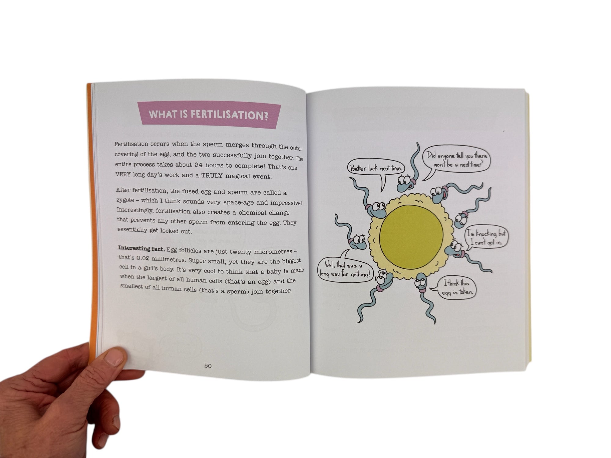 Where Do Babies Come From?