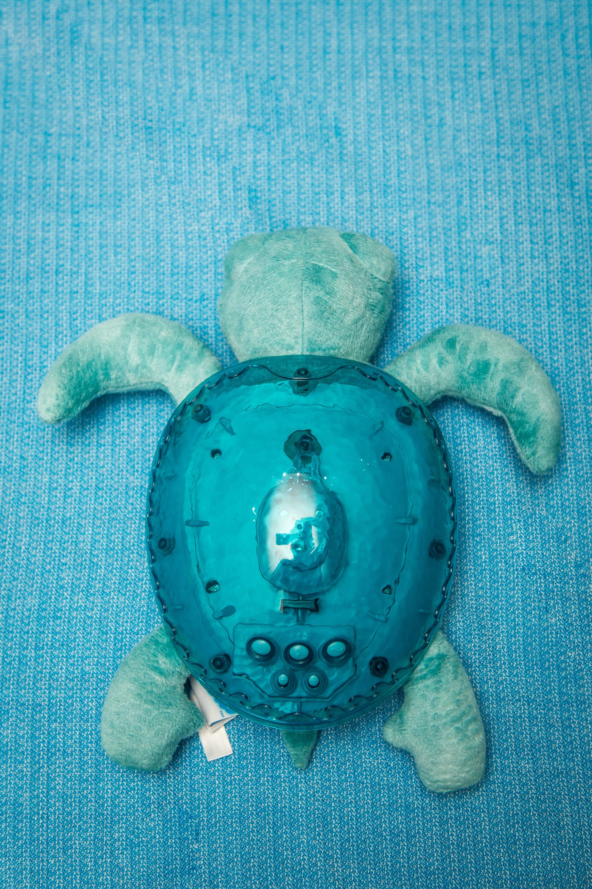 Cloud B Tranquil Turtle