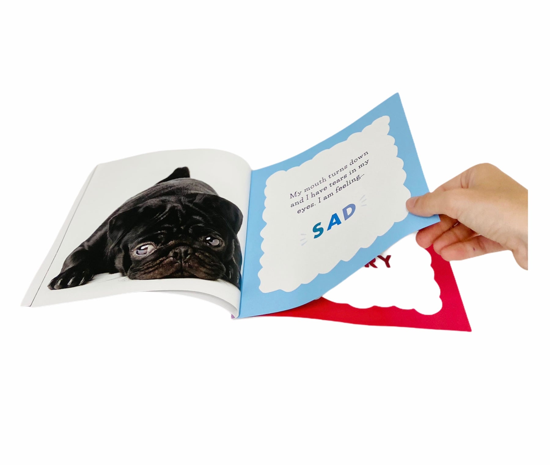 Feelings and Me Book