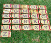 The viga magnetic tracing upper case letters laid out on on the grass 