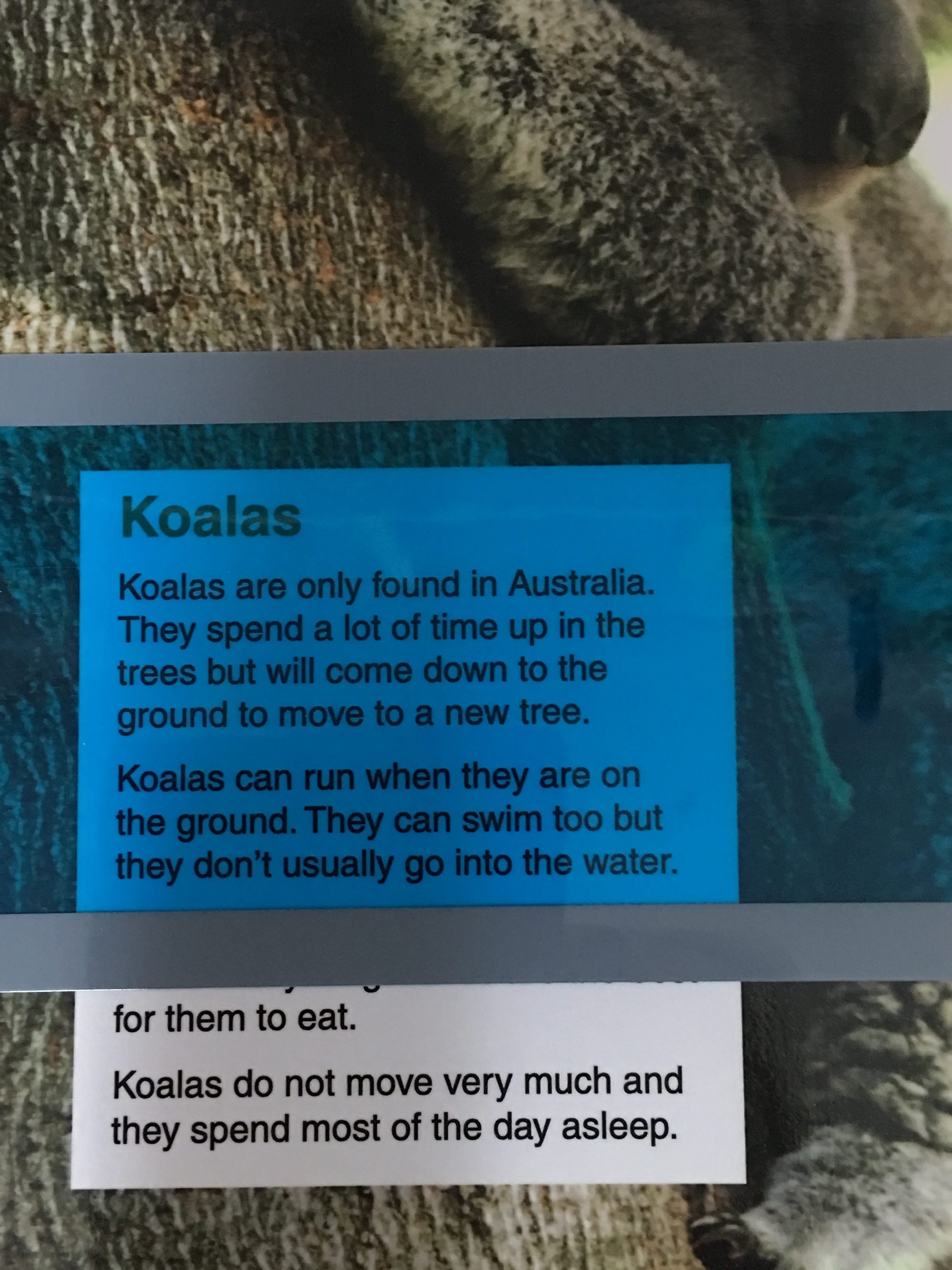 the Large Highlight Strip Blue used on a part of text