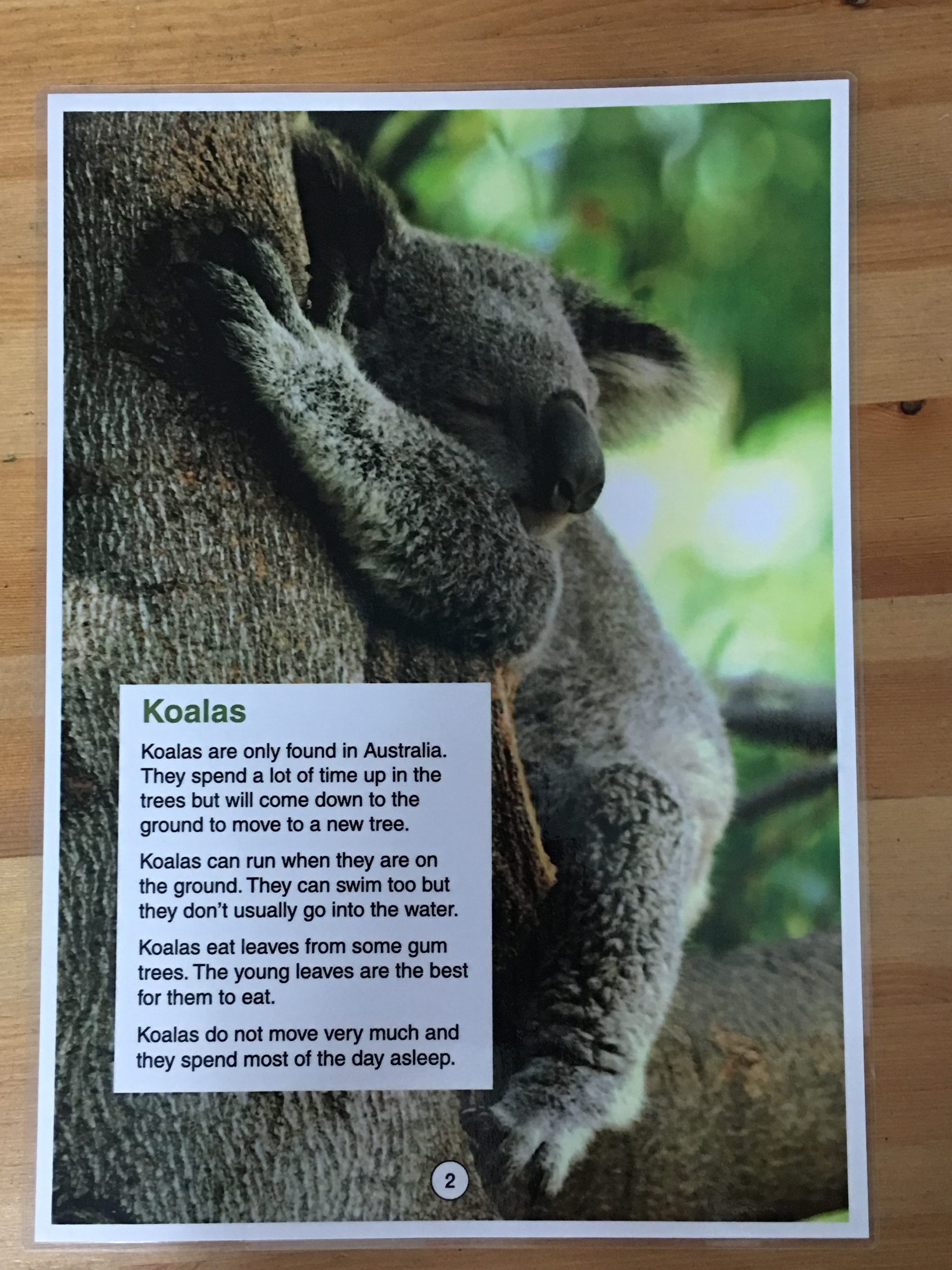 Full Page Highlight Strip