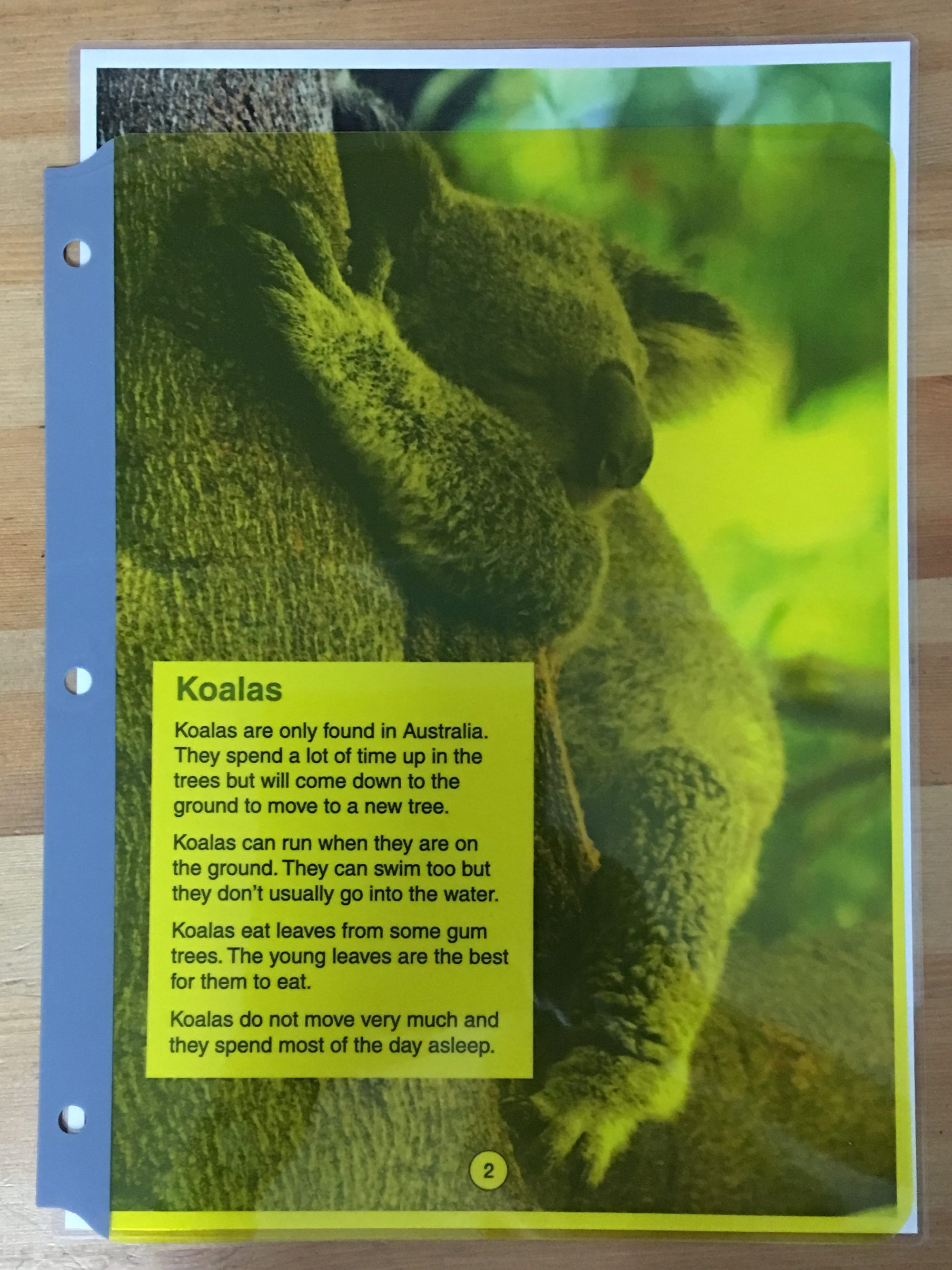 the Full Page Highlight Strip - yellow covering a sheet of A4 paper