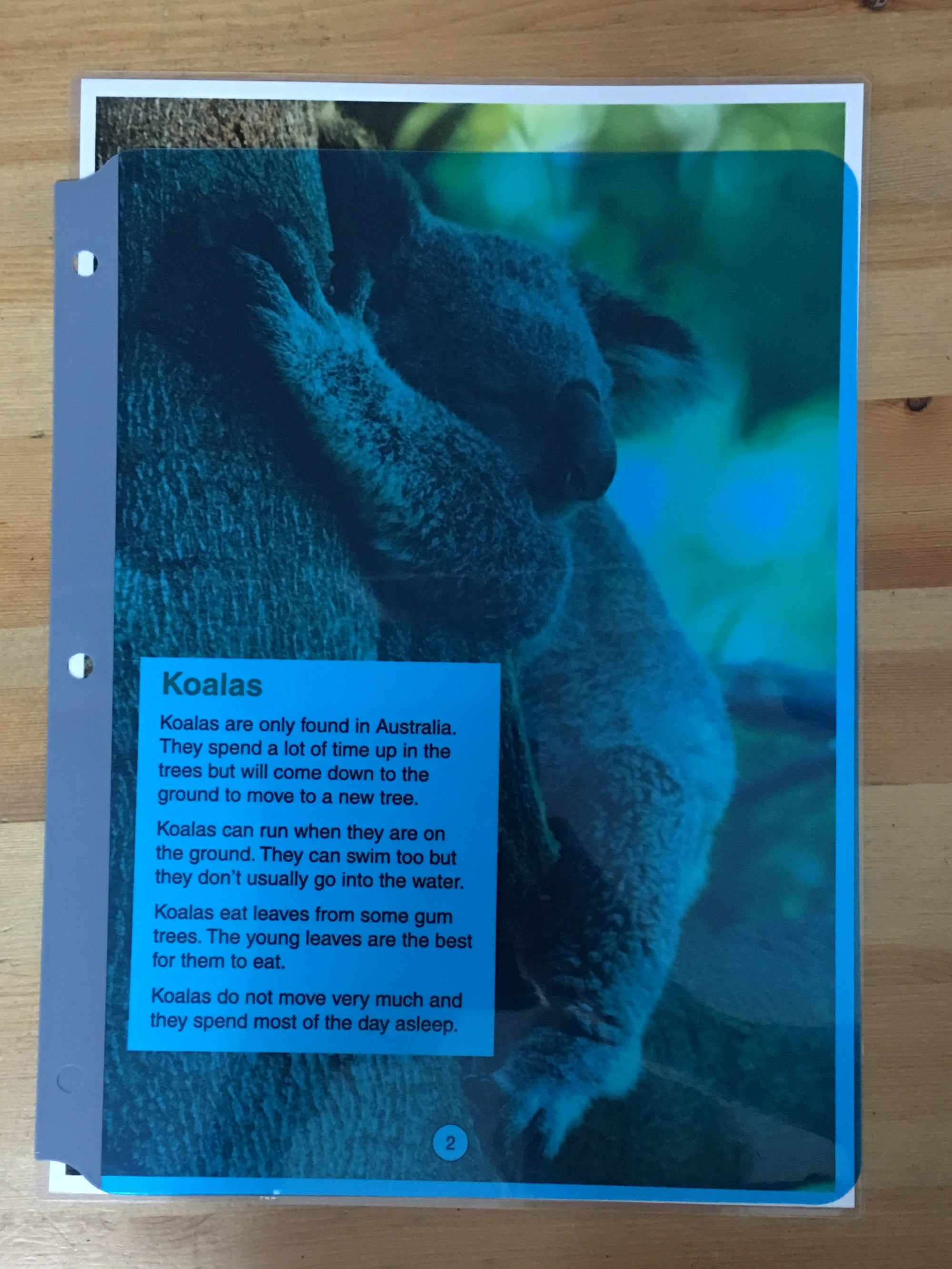 the Full Page Highlight Strip - blue covering a sheet of a4 paper