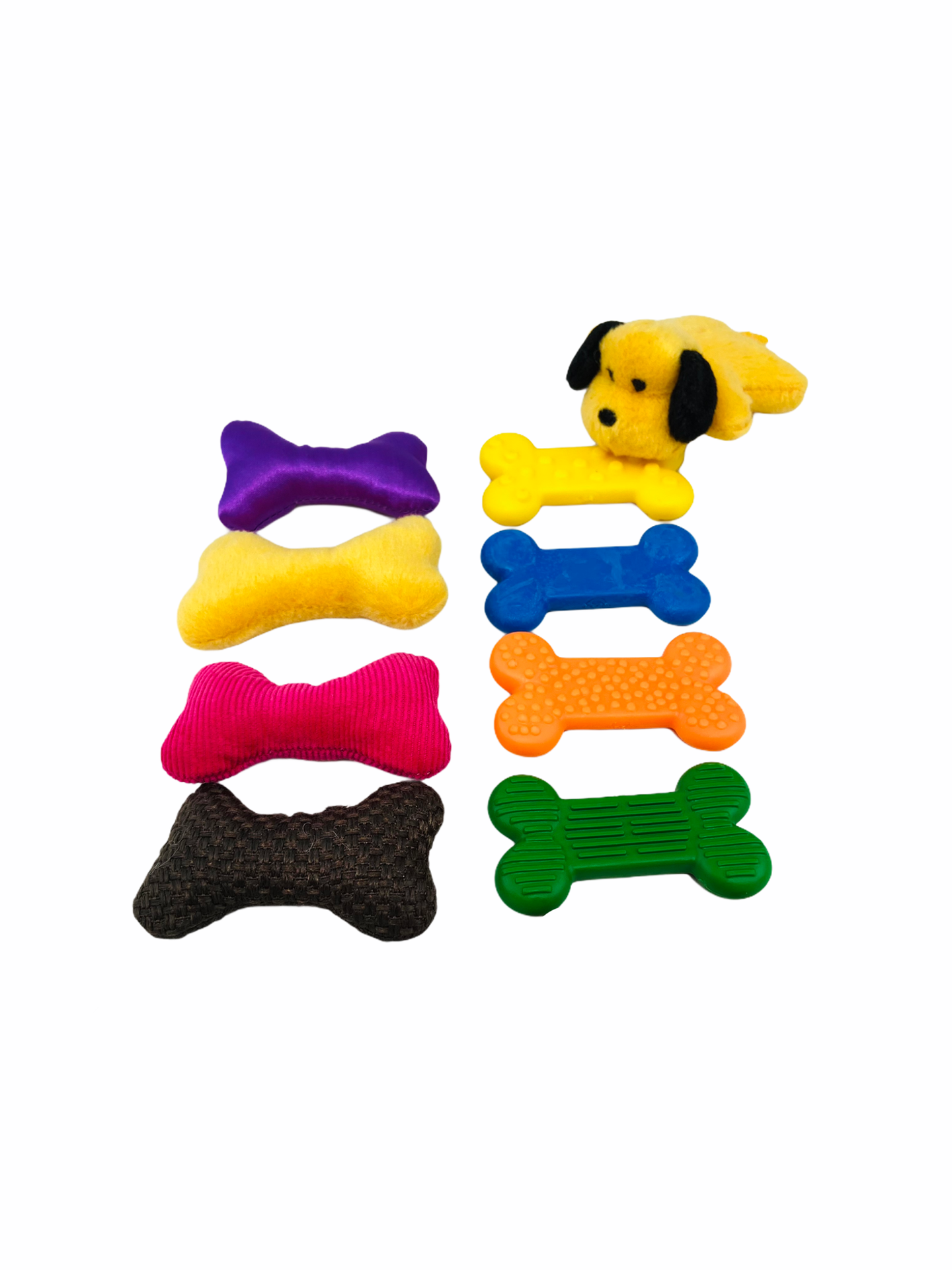 all of the bones and the dog from the Ruff&#39;s House Teaching Tactile Set on display with white background