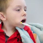 Ark Preefer Tip - Yellow